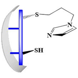 Imidazole Sulfide Mercapto Alkyl Silica, metals and organic impurity scavenger|16-0800