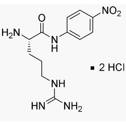 L-Arginine 4-nitroanilide dihydrochloride|03301|40127-11-5