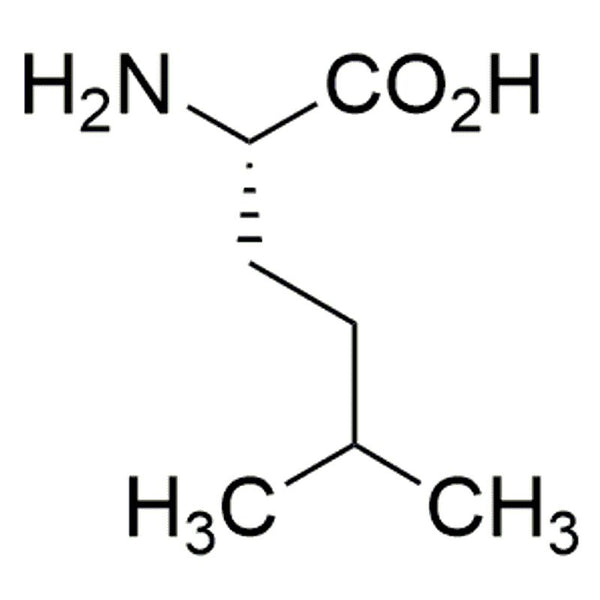 L-Homoleucine Hydrochloride|07179|31872-98-7