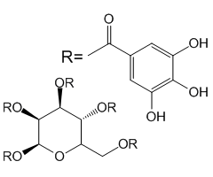 1,2,3,4,6-Penta-O-galloyl-β-D-glucopyranose, 96%|200861|14937-32-7