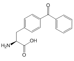 4-Benzoyl-L-phenylalanine, 95%|204322|104504-45-2