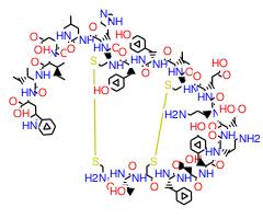 Endothelin-3 (human, mouse, rabbit, rat)|CPTD783479|117399-93-6