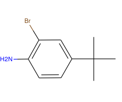 2-Bromo-4-(tert-butyl)aniline|CS-0097739|103273-01-4