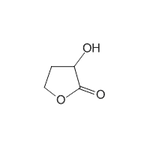 3-Hydroxydihydrofuran-2(3H)-one|CS-W013699|19444-84-9