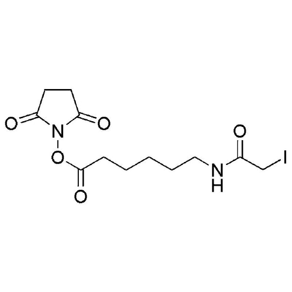Succinimidyl-6-(iodoacetyl)aminocaproate|22985|134759-23-2