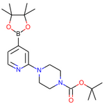 tert-Butyl 4-(4-(4,4,5,5-tetramethyl-1,3,2-dioxaborolan-2-yl)pyridin-2-yl)piperazine-1-carboxylate|CS-0038771|936250-21-4