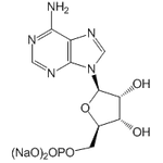 5'-Adenylic acid (sodium hydrate)|CS-W011684|149022-20-8