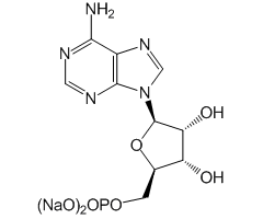 5'-Adenylic acid (sodium hydrate)|CS-W011684|149022-20-8