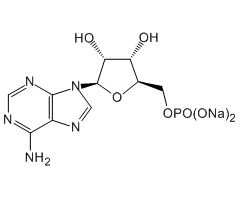 Adenosine 5'-monophosphate disodium salt, 98%|225321|4578-31-8