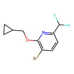 3-Bromo-2-(cyclopropylmethoxy)-6-(difluoromethyl)pyridine|CS-0784200|3008582-91-7