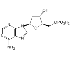 2'-Deoxyadenosine 5'-monophosphate, 98%|232526|653-63-4