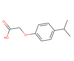 2-(4-Isopropylphenoxy)acetic acid|CS-W015738|1643-16-9