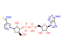 Thionicotinamide adenine dinucleotide, 90%, oxidized form|239039|4090-29-3