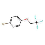 1-Bromo-4-(2,2,2-trifluoroethoxy)benzene|CS-W021309|106854-77-7