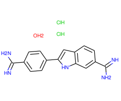 DAPI, 97%, Fluorescent probe, for nuclear localization|243457|47165-04-8
