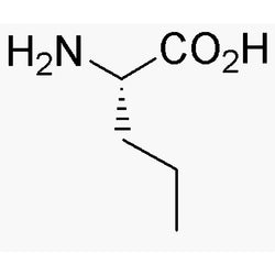 L-Norvaline|02041|6600-40-4