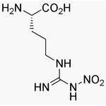 Nw-Nitro-L-arginine|02693|2149-70-4