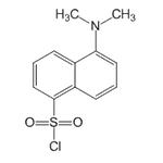 Dansyl chloride|CS-5026|605-65-2