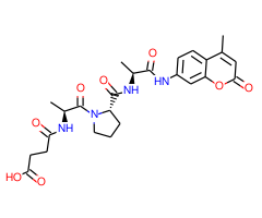 Suc-Ala-Pro-Ala-AMC|CPTD785661|88467-44-1