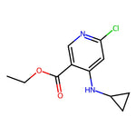 Ethyl 6-chloro-4-(cyclopropylamino)nicotinate|CS-0616811|1588424-59-2