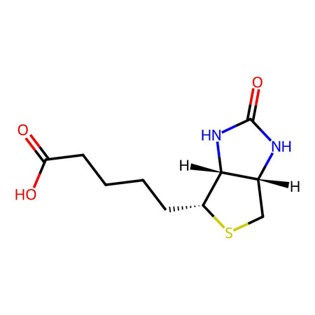 Biotin Impurity 7|C4X-15637|21788-37-4