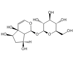 Harpagide, 98%, from Harpagophytum procumbens D.C.|263390|6926-08-5