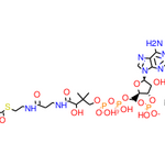 Acetyl coenzyme燗 sodium salt|42088|102029-73-2
