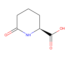 L-Pyrohomoglutamic acid|CS-W018258|34622-39-4