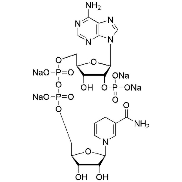 b-Nicotinamide adenine dinucleotide phosphate reduced form, tetrasodium salt|00616|2646-71-1