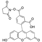 5-Carboxyfluorescein N-succinimidyl ester|30010|92557-80-7