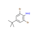 2,6-Dibromo-4-(tert-butyl)aniline|CS-0036975|10546-67-5