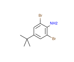 2,6-Dibromo-4-(tert-butyl)aniline|CS-0036975|10546-67-5