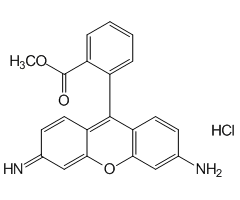 Rhodamine 123, 98%|211600|62669-70-9