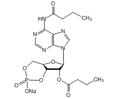 N6, 2’-O-Dibutyryadenosine 3’,5’-cyclic monophosphate sodium salt, 96%|275671|16980-89-5