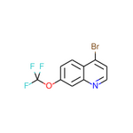4-Bromo-7-(trifluoromethoxy)quinoline|CS-0202225|1189105-57-4