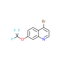 4-Bromo-7-(trifluoromethoxy)quinoline|CS-0202225|1189105-57-4