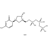 2'-Deoxycytidine 5'-triphosphate disodium salt, 99%, 100 mM|9332597|102783-51-7