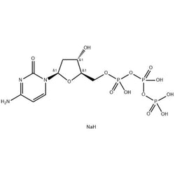 2'-Deoxycytidine 5'-triphosphate disodium salt, 99%, 100 mM|9332597|102783-51-7
