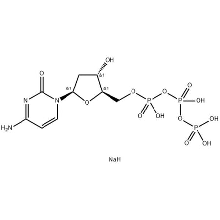 2'-Deoxycytidine 5'-triphosphate disodium salt, 99%, 100 mM|9332597|102783-51-7