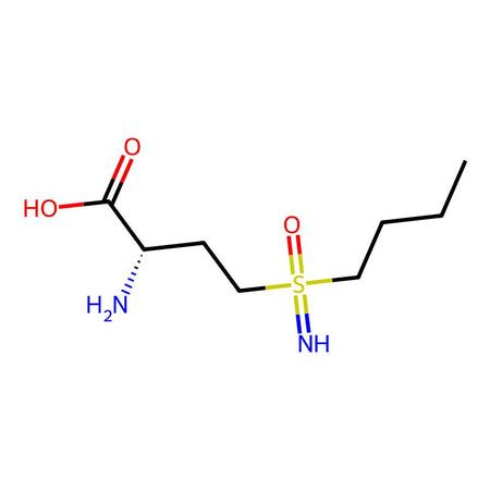 L-Buthionine sulfoximine, 98%|165178|83730-53-4
