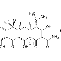 Tetracycline hydrochloride, 98%|284592|64-75-5