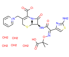 Ceftazidime pentahydrate, 95%|289085|78439-06-2