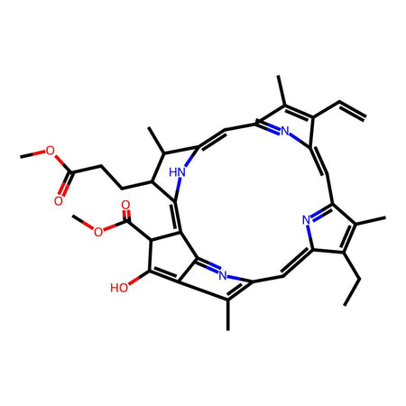Pheophorbide a Methyl Ester, 95%|1150198|5594-30-9
