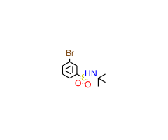 3-Bromo-N-(tert-butyl)benzenesulfonamide|CS-0100359|308283-47-8