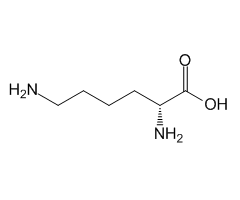 Lysine Impurity 17|C4X-221117|923-27-3