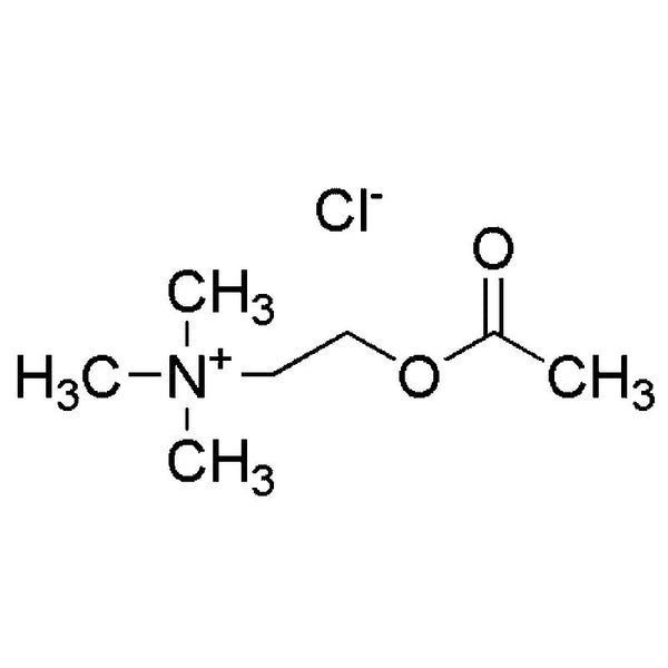 Acetylcholine chloride|00770|60-31-1