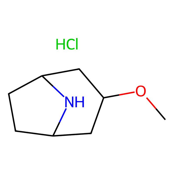 3-Methoxy-8-azabicyclo[3.2.1]octane hydrochloride|CS-0074018|1820649-01-1