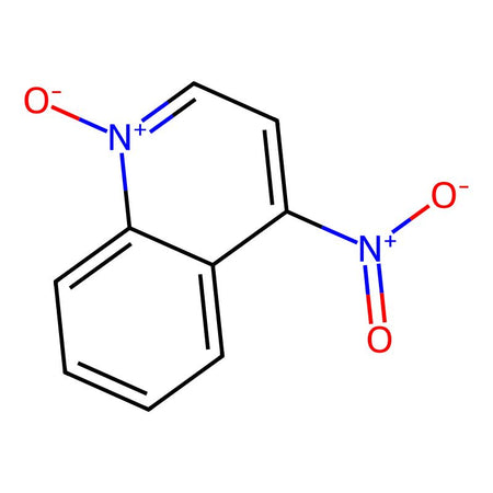 4-Nitroquinoline N-oxide, 98%|164927|56-57-5