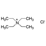 Triethylmethylammonium Chloride|31584|10052-47-8