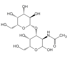 2-Acetamido-2-deoxy-3-O-(β-D-galactopyranosyl)-D-galactopyranose, 95%|300047|20972-29-6